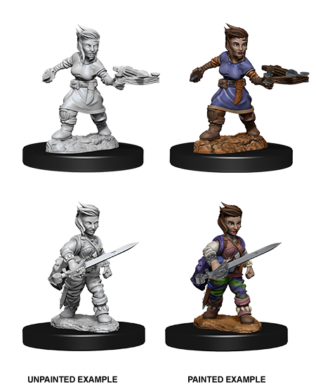 Female Halfling Rogue
