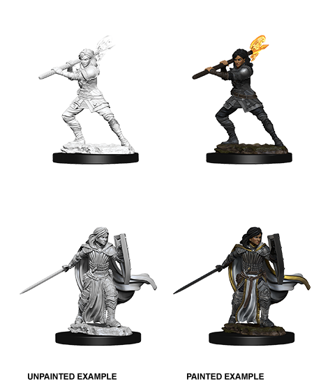 Female Human Paladin