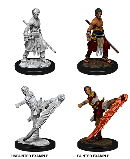 Male Half-Elf Monk