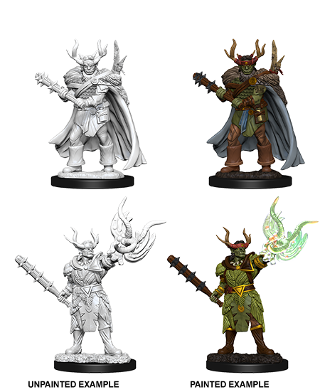 Male Half-Orc Druid