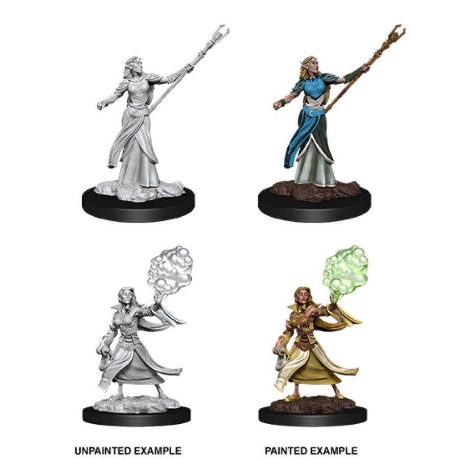 Female Elf Sorcerer