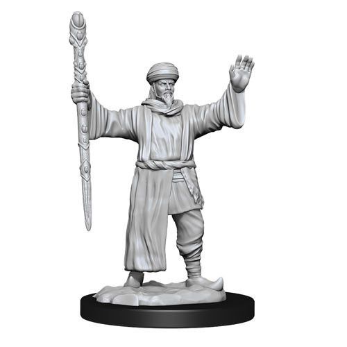 Human Wizard Male