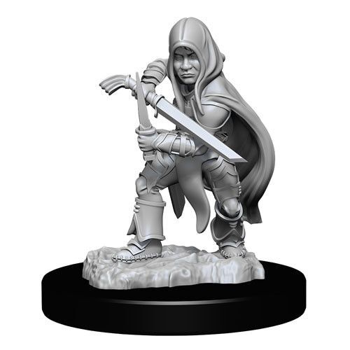 Halfling Rogue Male