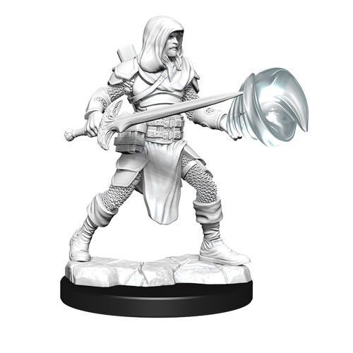 Male Multiclass Fighter + Wizard
