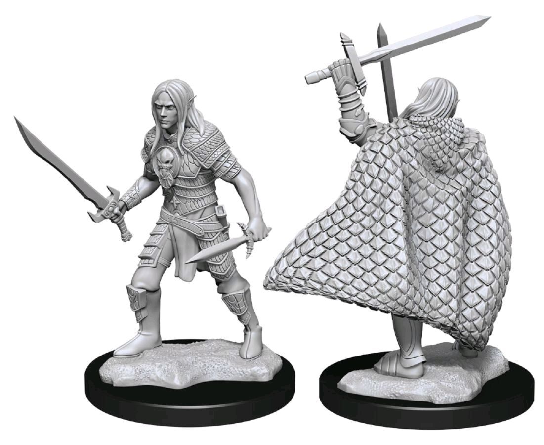 Elf Fighter Male