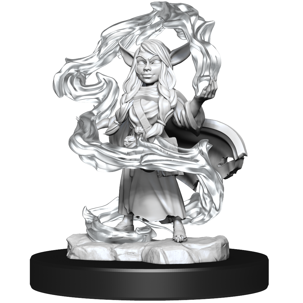 Goblin Sorcerer and Rogue Female