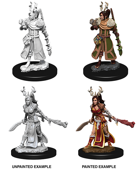 Female Human Druid