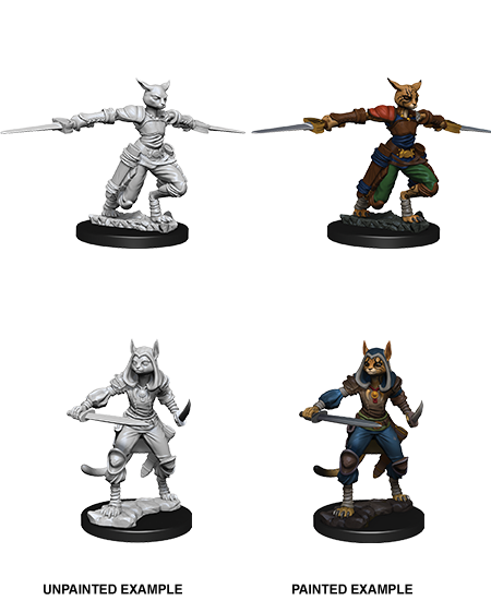 Female Tabaxi Rogue