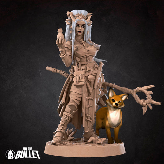 Human Witch Female D&D Miniature