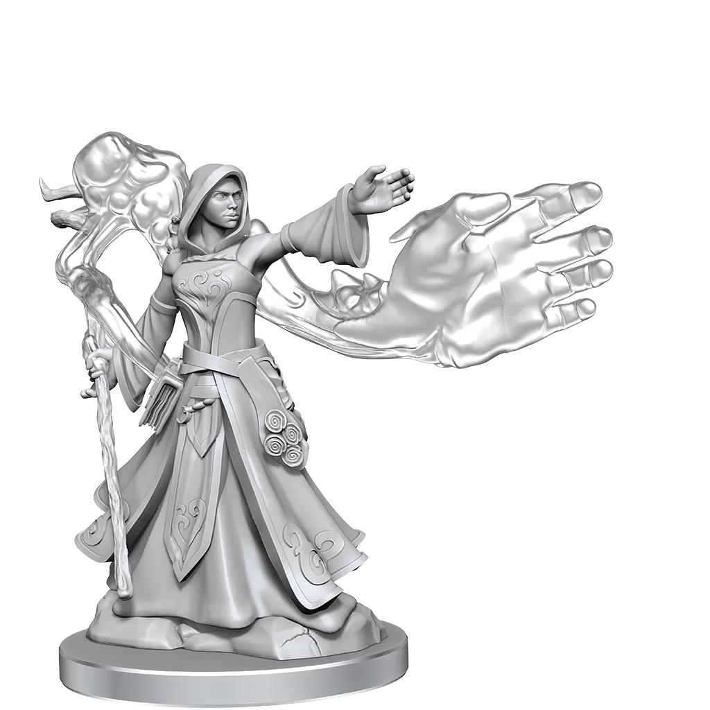 D&D Frameworks Elf Wizard Female