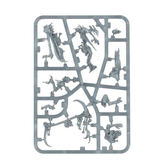 Marrowscroll Herald