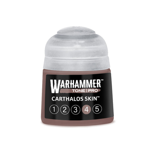 Tone Pro: Carthalos Skin 4 Paint