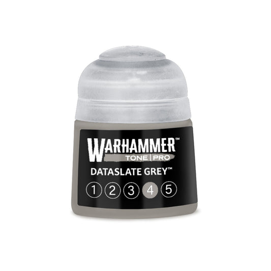 Tone Pro: Dataslate Grey 4 Paint