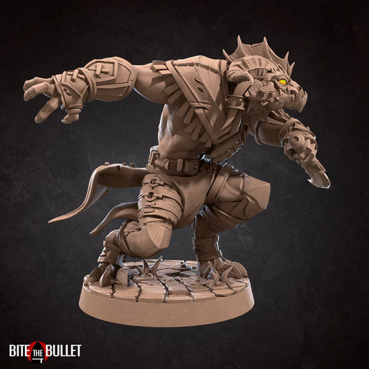 Dragonborn Rogue Male D&D Miniature