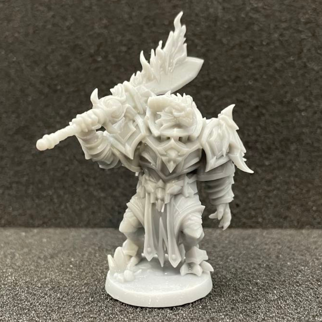 Dragonborn Paladin Male D&D Miniature