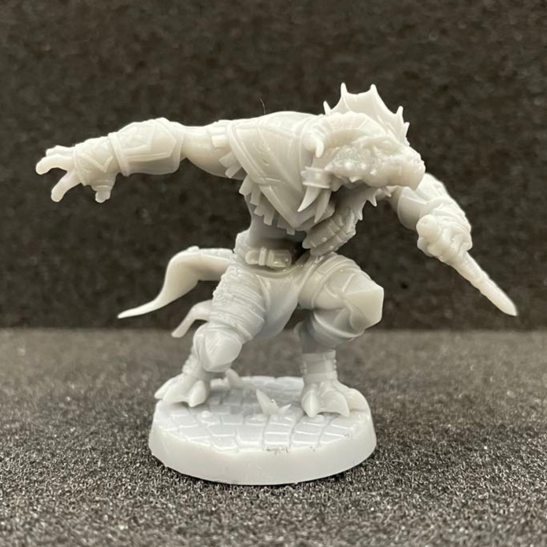 Dragonborn Rogue Male D&D Miniature