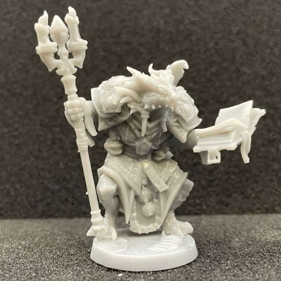 Dragonborn Wizard Male D&D Miniature