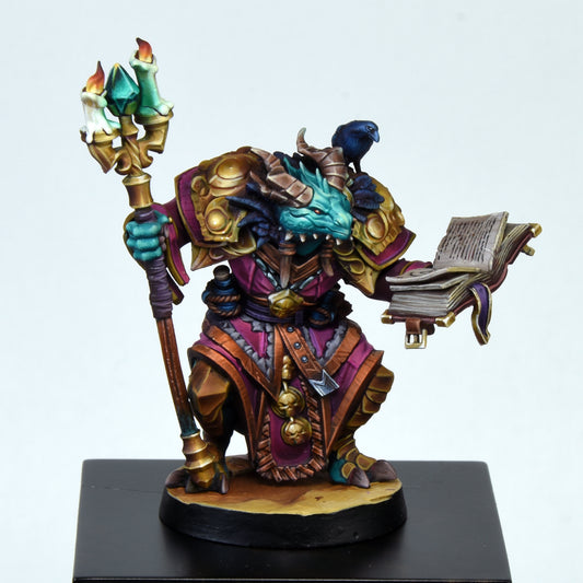 Dragonborn Wizard Male D&D Miniature