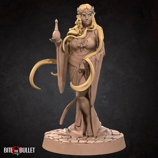 Elf Sorcerer Female D&D Miniature