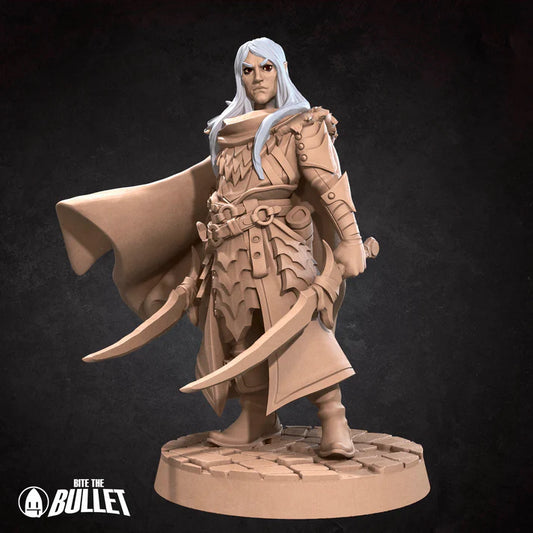 Elf Fighter Male (dual wielding) D&D Miniature