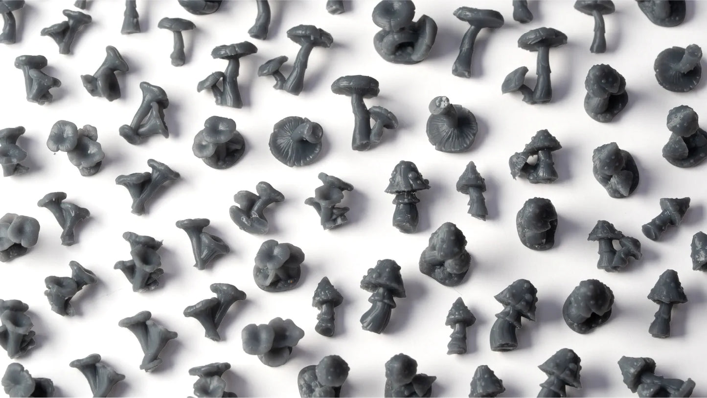 Forest Mushrooms Basing Bits (PRE ORDER)