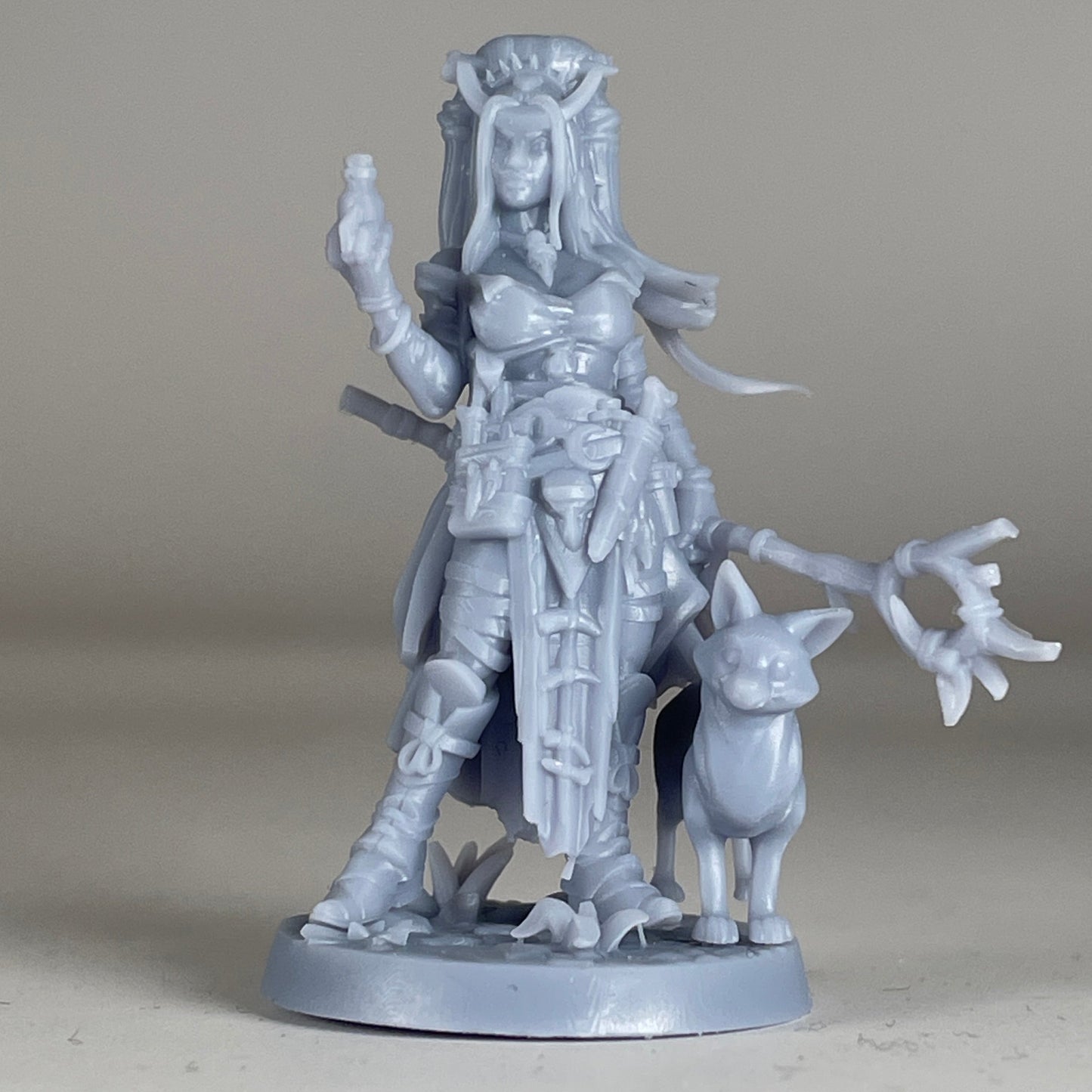 Human Witch Female D&D Miniature