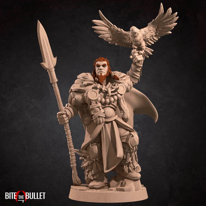 Human Druid Male (with crow) D&D miniature