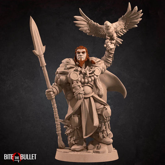 Human Druid Male (with crow) D&D miniature