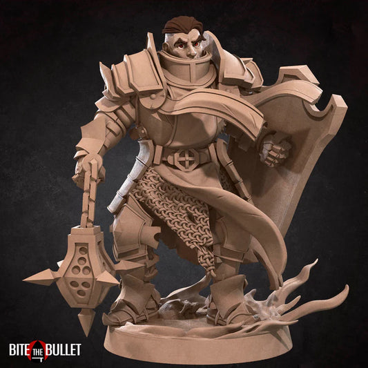 Human Cleric Crusader Male D&D Miniature