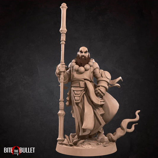 Human Monk Male D&D Miniature