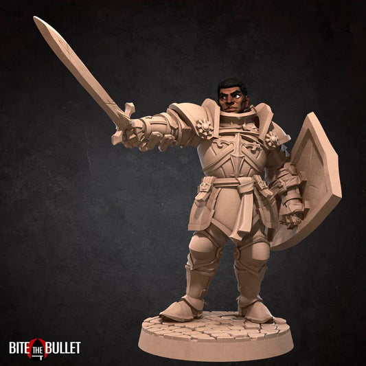 Human Paladin Male D&D Miniature