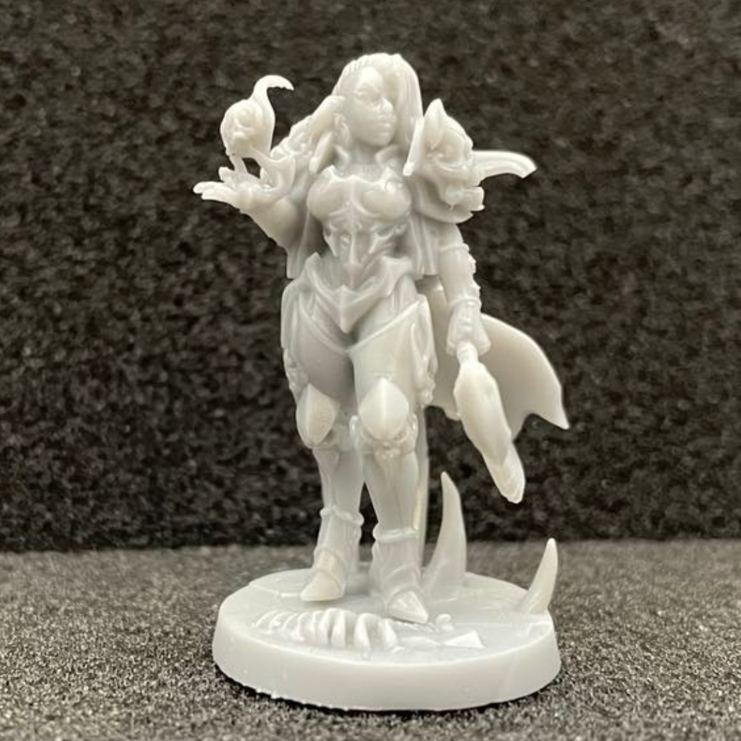 Human Wizard Female (no crown) D&D Miniature