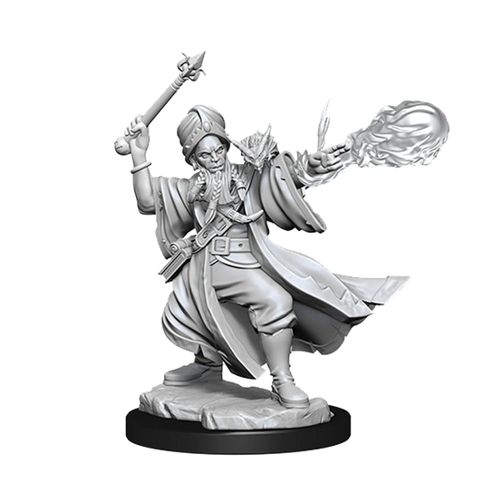 D&D Frameworks Human Wizard Male