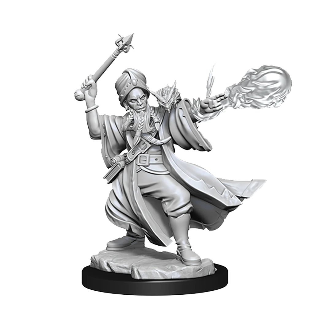 D&D Frameworks Human Wizard Male