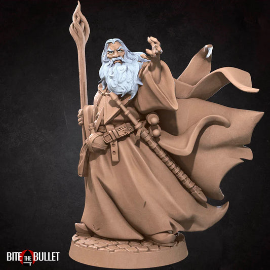 Human Wizard Male (no hat) D&D miniature