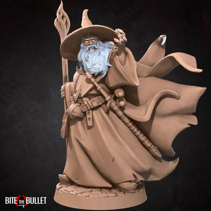 Human Wizard Male (with hat) D&D miniature