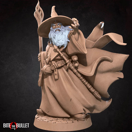 Human Wizard Male (with hat) D&D miniature
