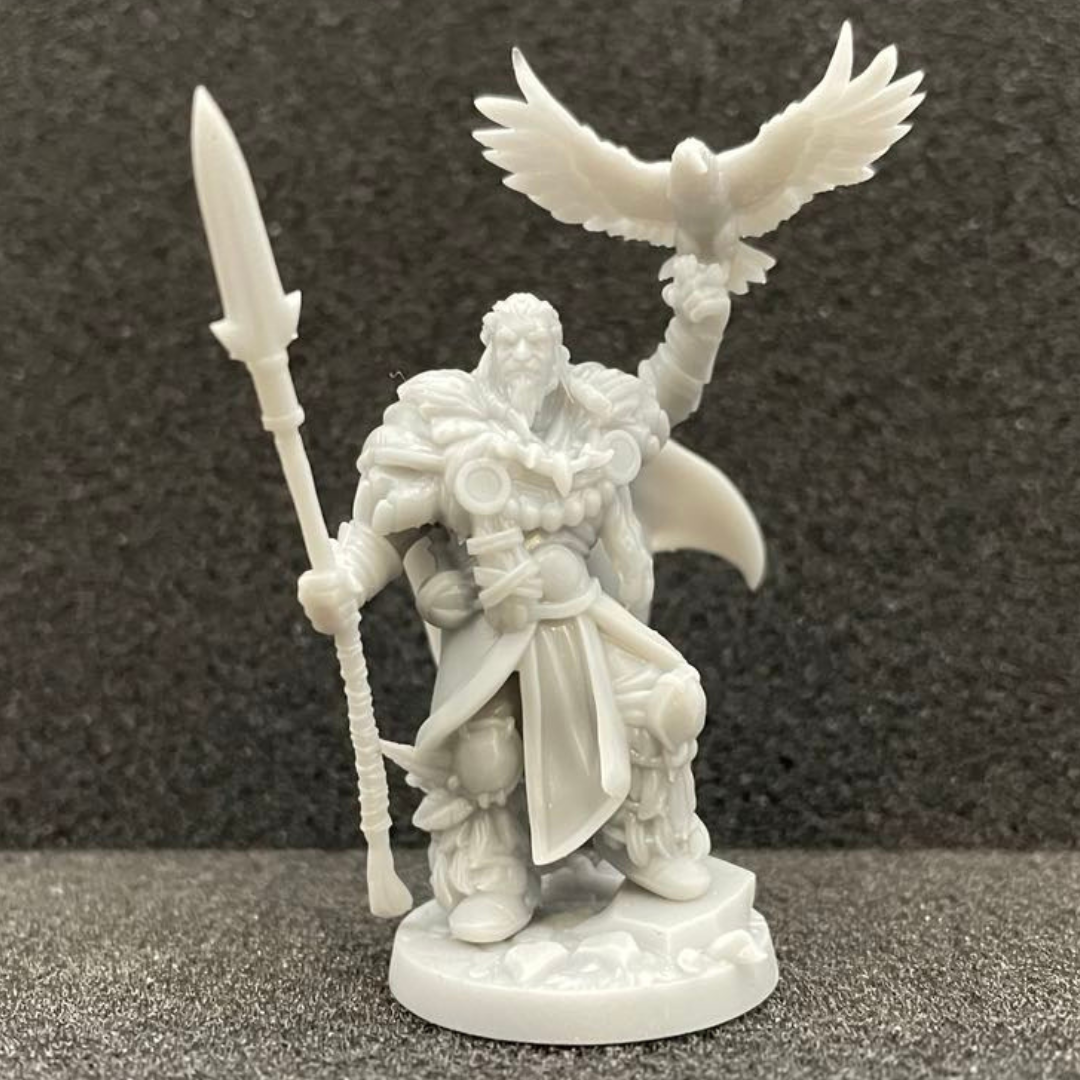 Human Druid Male (with crow) D&D miniature