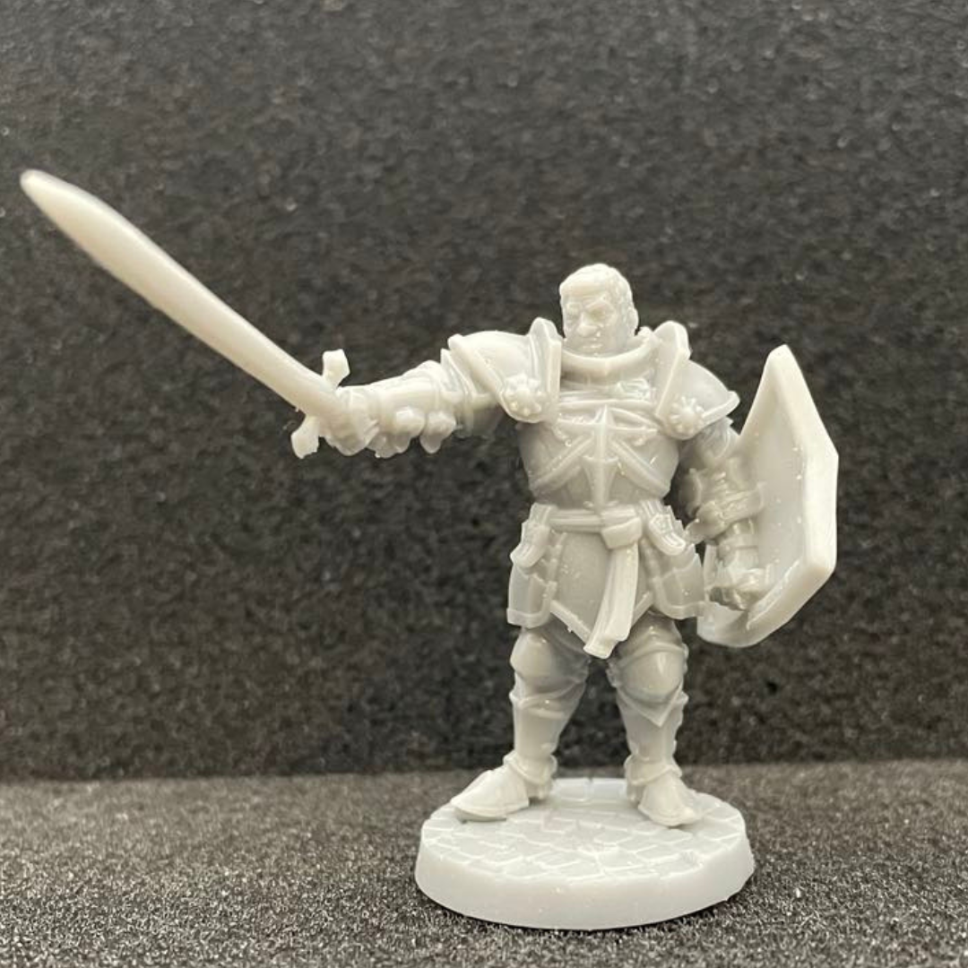 Human Paladin Male D&D Miniature
