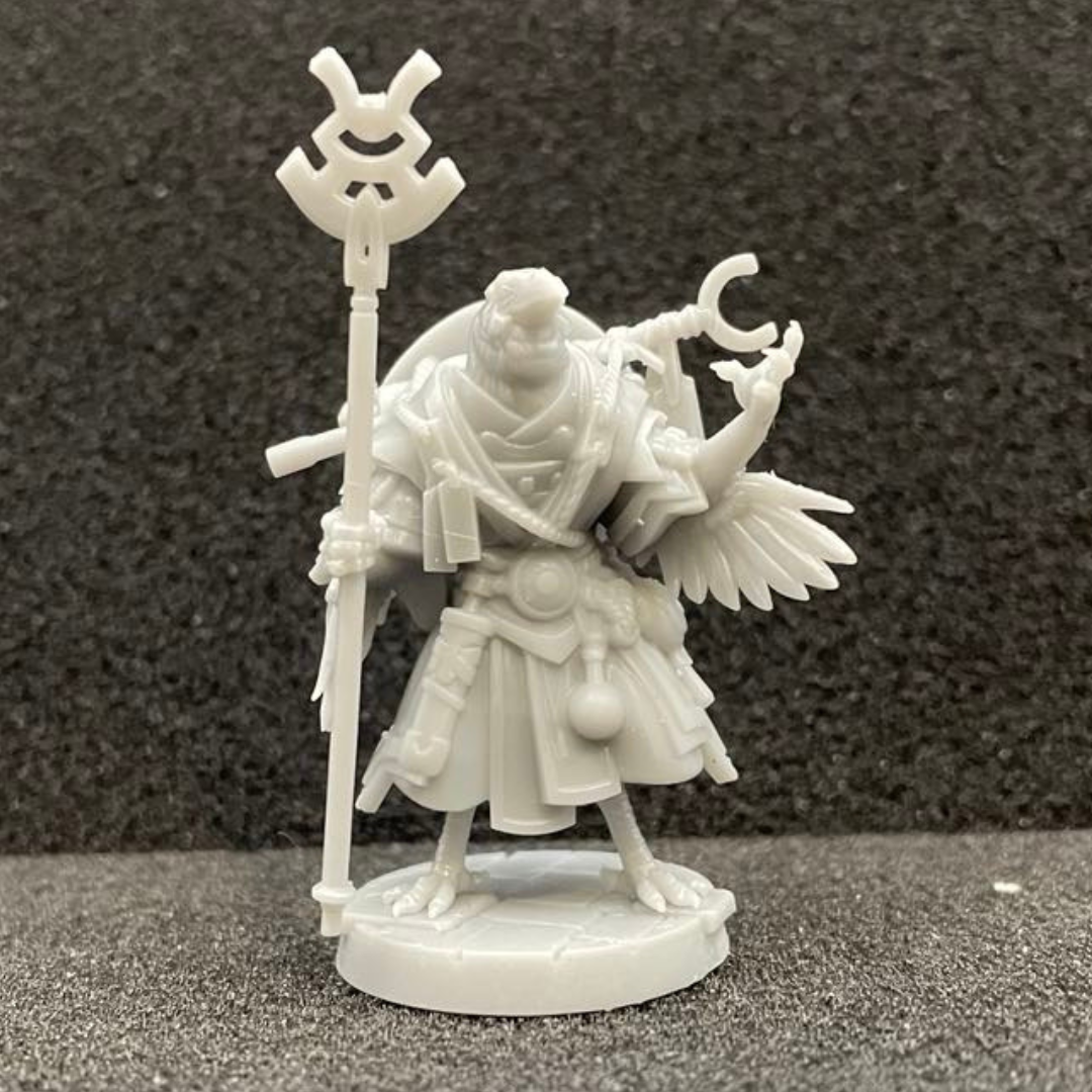 Kenku Sorcerer Male D&D Miniature