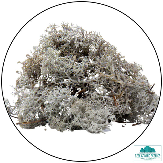 Lichen - Light Grey
