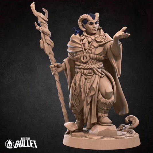 Tiefling Druid Male D&D Miniature