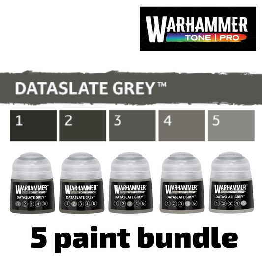 Tone Pro: Dataslate Grey paint bundle