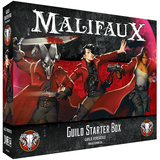 Guild Starter Box (Pre-Order TBC Q3 2024)