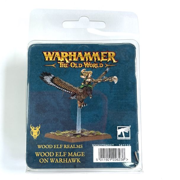 Wood Elf Mage on Warhawk