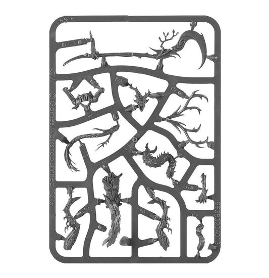 Branchwych (Pre-Order 11/4/26)