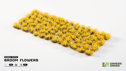 Broom Flowers - Gamers Grass