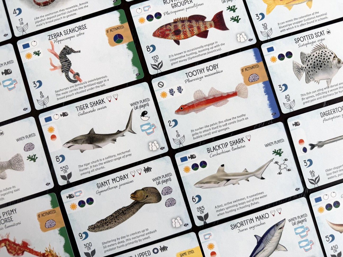Finspan - Sharks & Reefs Expansion (Pre-order 26/6/26)