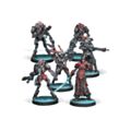 Combined Army Starter Pack (Box) (OOP)