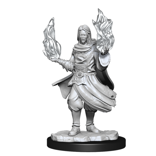 Hollow One Rogue and Sorcerer Male